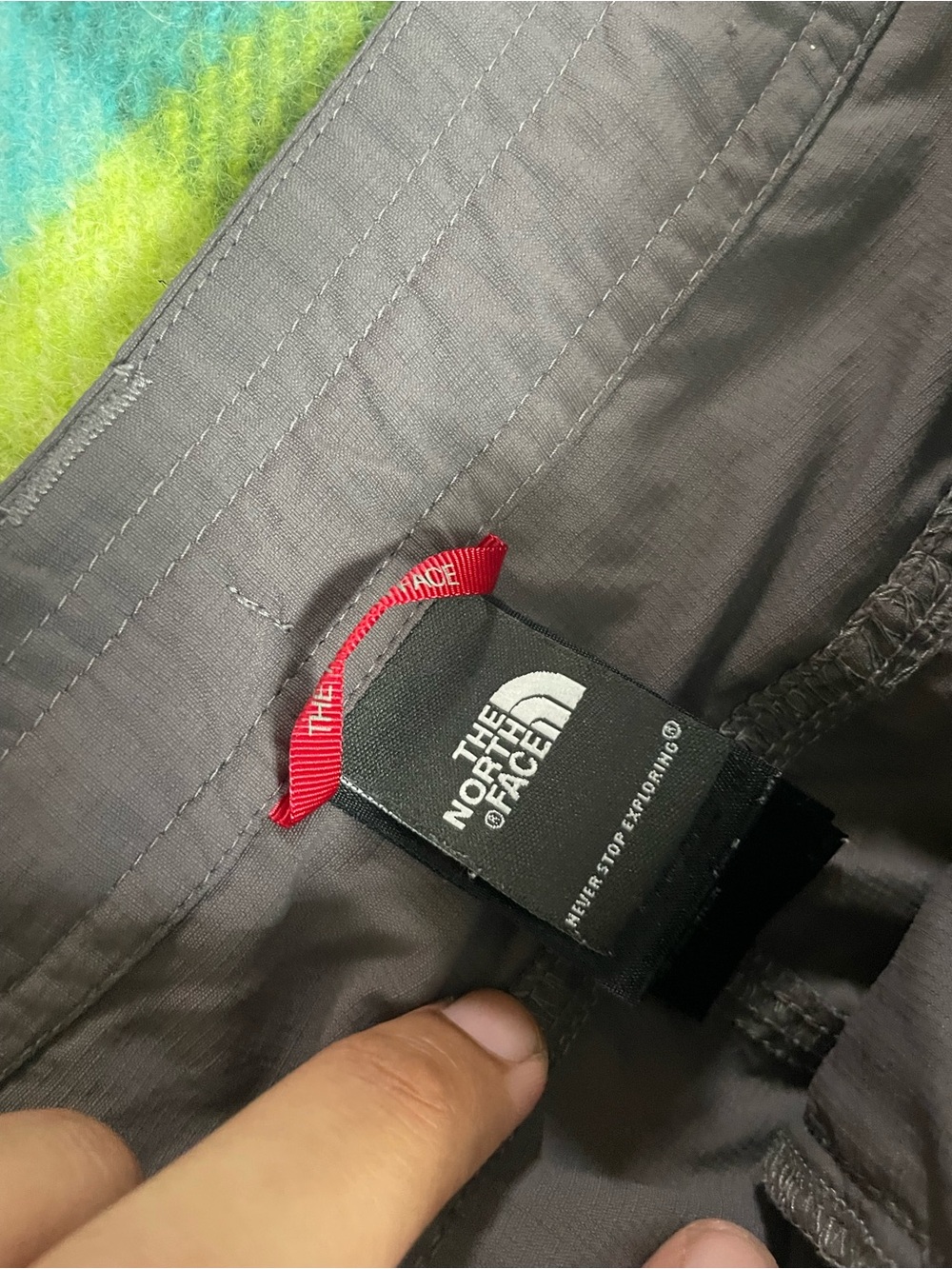 The North Face Horizon Tempest Lightweight Pants View 2